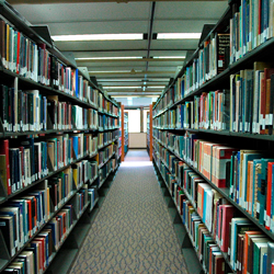 The library stacks.