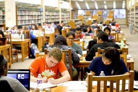 Students studying in the library