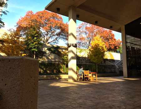 Library courtyard